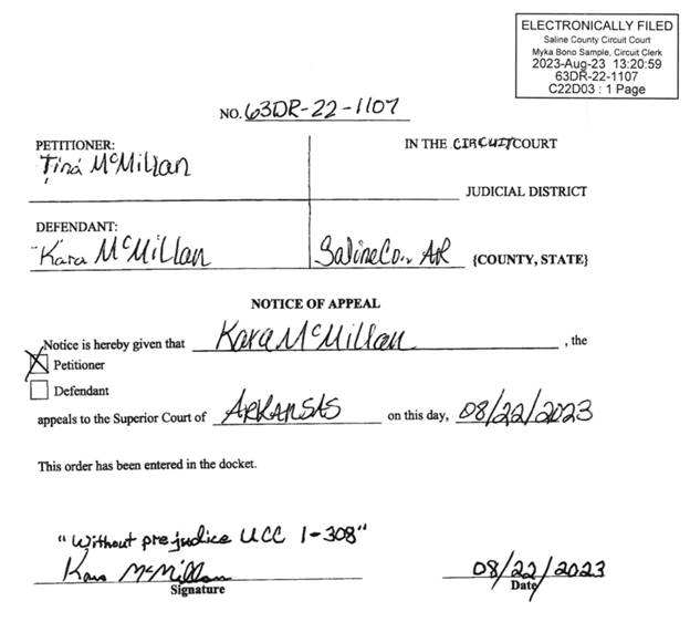 A picture containing text, receipt, document, screenshot

Description automatically generated